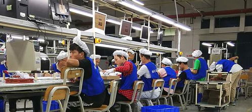 电子厂真实工资与电器辅件销售前景分析